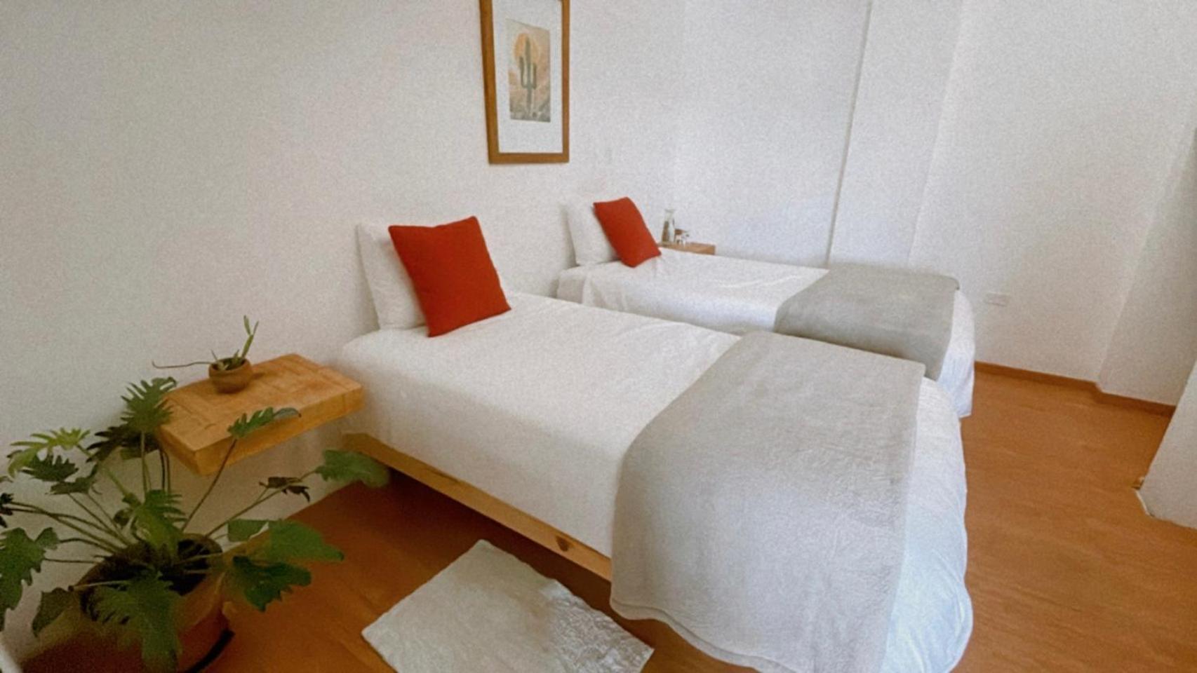 Estudio Terraza - Todos Santos - Centro Εξωτερικό φωτογραφία